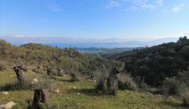 Земля за 300 000 евро на Корфу, Греция