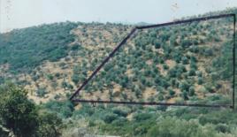 Земля за 300 000 евро на Халкидиках, Греция