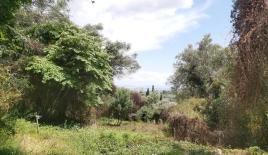 Земля за 550 000 евро на Корфу, Греция