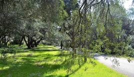 Земля за 160 000 евро на Корфу, Греция