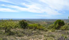 Земля за 160 000 евро на Халкидиках, Греция