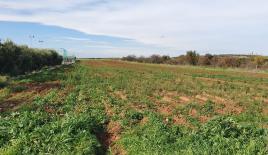 Земля за 215 000 евро на Халкидиках, Греция