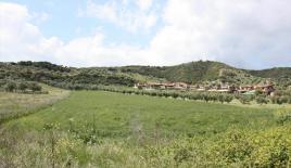 Земля за 800 000 евро на Кассандре, Греция