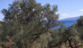 Земля за 800 000 евро на Халкидиках, Греция