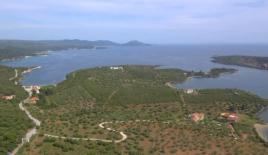 Земля за 2 000 000 евро в Ситонии, Греция