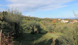 Земля за 650 000 евро на Корфу, Греция