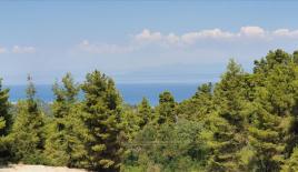 Земля за 1 000 000 евро на Кассандре, Греция