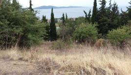 Земля за 500 000 евро на Халкидиках, Греция