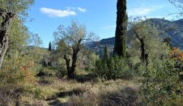 Земля за 210 000 евро на Корфу, Греция