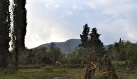 Земля за 330 000 евро на Корфу, Греция