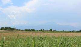 Земля за 160 000 евро в Олимпиаки-Акти, Греция