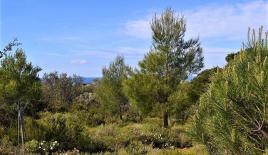 Земля за 420 000 евро на Корфу, Греция