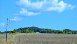 Земля за 330 000 евро на Кассандре, Греция