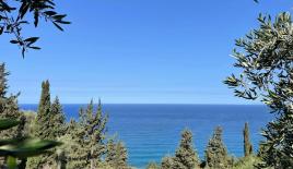 Земля за 280 000 евро на Корфу, Греция