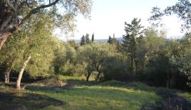 Земля за 260 000 евро на Корфу, Греция