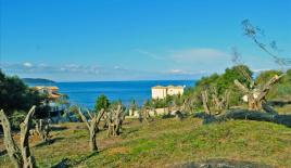 Земля за 1 000 000 евро на Корфу, Греция