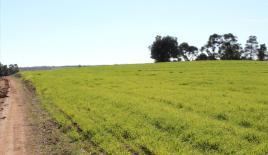 Земля за 1 000 000 евро на Кассандре, Греция