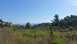 Земля за 250 000 евро на Кассандре, Греция