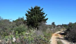 Земля за 180 000 евро в Ираклионе, Греция