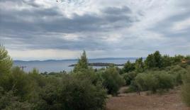 Земля за 900 000 евро в Ситонии, Греция