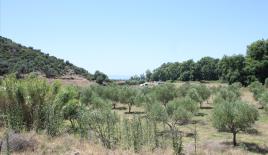 Земля за 350 000 евро в Ситонии, Греция