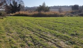 Земля за 150 000 евро на Кассандре, Греция