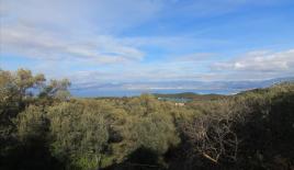 Земля за 370 000 евро на Корфу, Греция