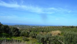 Земля за 290 000 евро в Ираклионе, Греция