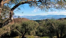 Земля за 220 000 евро на Корфу, Греция