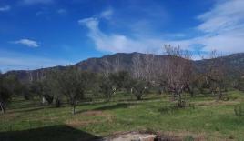 Земля за 210 000 евро в Салониках, Греция