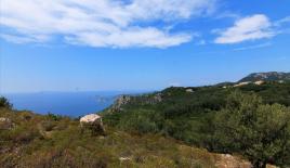 Земля за 170 000 евро на Корфу, Греция