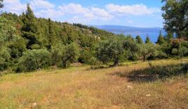 Земля за 160 000 евро в Ситонии, Греция
