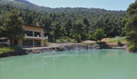 Дом за 900 000 евро в Афинах, Греция