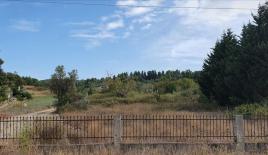 Земля за 450 000 евро на Кассандре, Греция