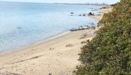 Земля за 950 000 евро в Ситонии, Греция