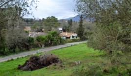 Земля за 250 000 евро на Корфу, Греция