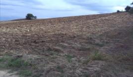 Земля за 370 000 евро в Салониках, Греция