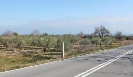 Земля за 230 000 евро в Олимпиаки-Акти, Греция