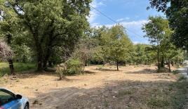 Земля за 160 000 евро на Корфу, Греция