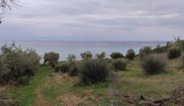 Земля за 600 000 евро на Халкидиках, Греция