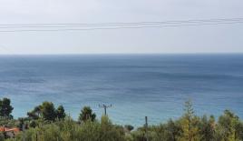 Земля за 380 000 евро на Кассандре, Греция