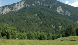 Земля за 594 000 евро в Любляне, Словения