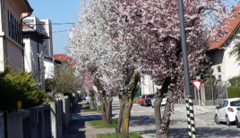 Дом за 960 000 евро в Любляне, Словения