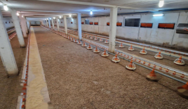 Ферма за 880 000 евро в Словенска-Бистрице, Словения