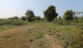 Земля за 220 000 евро на Корфу, Греция