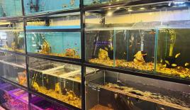 Магазин за 141 704 евро в Анталии, Турция