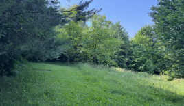 Земля за 550 000 евро в Любляне, Словения