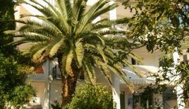 Отель, гостиница за 450 000 евро в Баре, Черногория