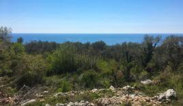 Земля за 1 996 170 евро в Режевичах, Черногория