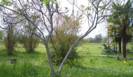 Земля за 750 000 евро в Баре, Черногория